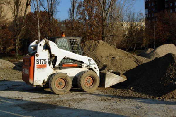 bobcat59AC3A53-3991-3D7C-670E-59AE1D1BB76E.jpg